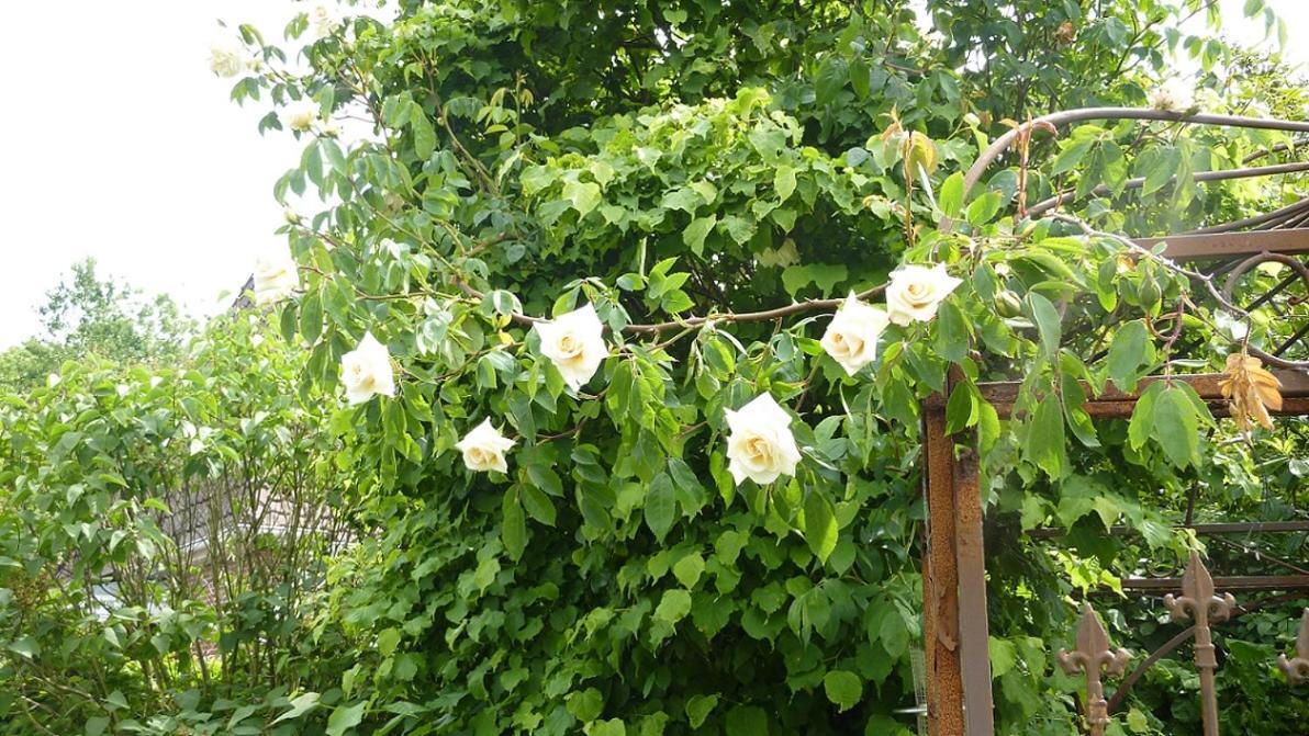 이젠스 Omas Huus 아파트 외부 사진